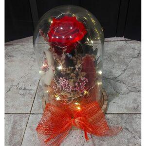 Cúpula pequeña con Rosa Preservada y Led